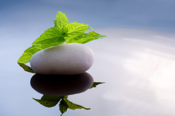 fondo zen, hierba, menta melissa