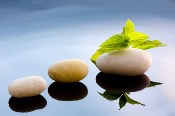 fondo zen, hierba, menta melissa
