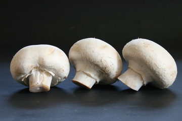 drei champignons