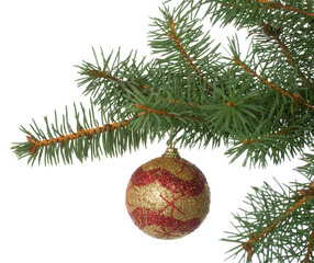 Obraz na płótnie Canvas christmas ball in a fir branch
