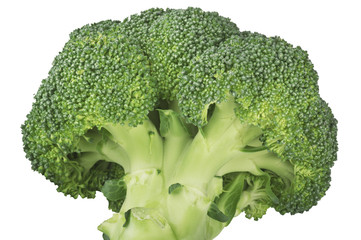 Broccoletti 3 11 09
