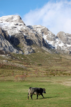 Valle de Casares