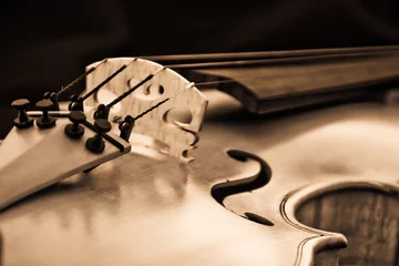 Violine Geige © Viktor Wink