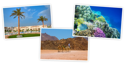 Egypt travel collage on white made from my photos