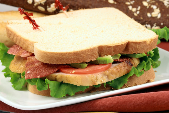 sandwich  with oven roasted turkey