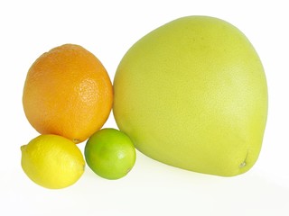 citrus fruits
