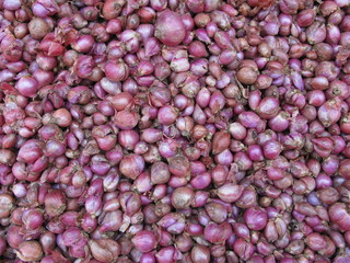 tas,d'oignons roses  vrac