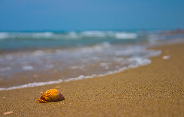 mare...mare....