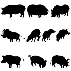 pigs silhouettes set
