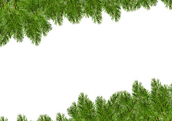 Tannenzweig Hintergrund