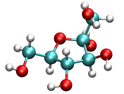 Fructose Molecule