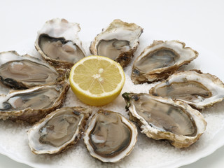 huitres