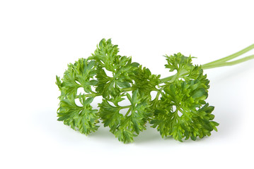 bunch of parsley leaves isolated on white