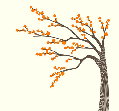 Fototapeta Autumn tree