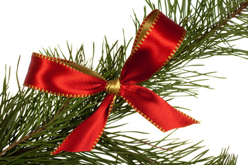 Rote Schleife mit Tannenzweig, freigestellt auf Weiss