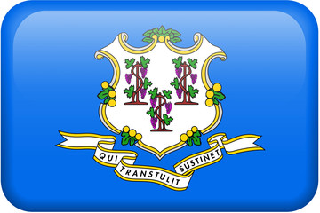 Connecticut Flag Button