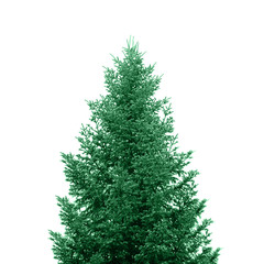 Wunderschöner Christbaum