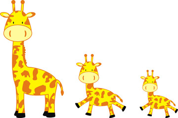 giraffe family