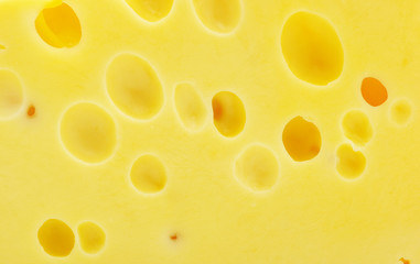 cheese