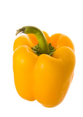Yellow paprika pepper
