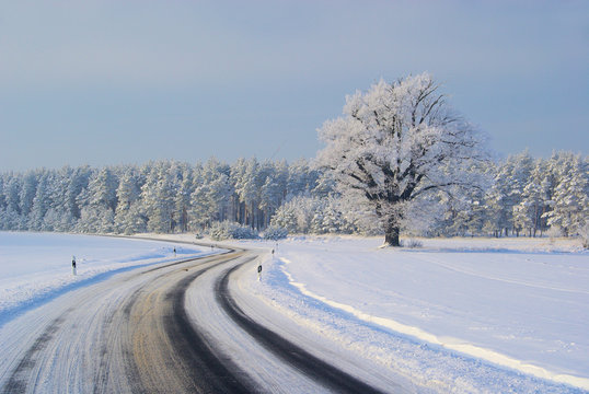 Straße im Winter - road in winter 05
