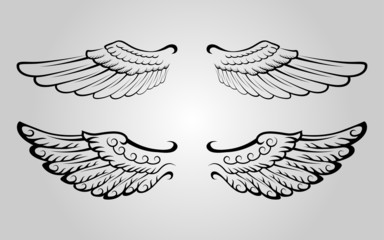 Wing 4