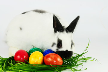 Osterhase © Natallia Vintsik