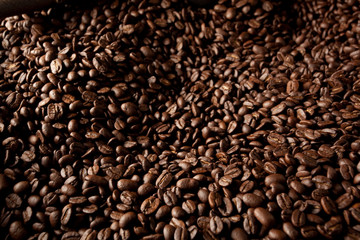 fresh roasted coffee beans