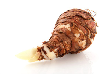 Amaryllis flower bulb