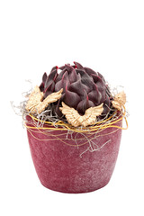 christmas decoration