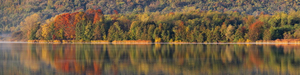 colored trees during fall time