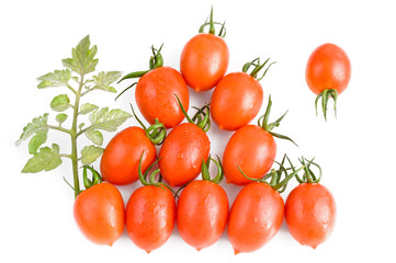 fresh ripe tomatoes