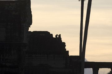 two monkey at angkor wat during sunset