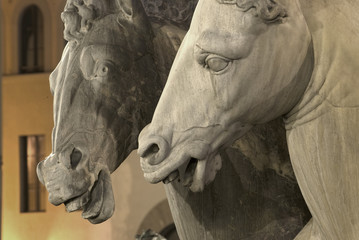Firenze, statua del Nettuno (particolare)