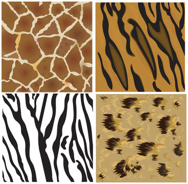Animal   patterns of tiger, leopard, giraffe and zebra.
