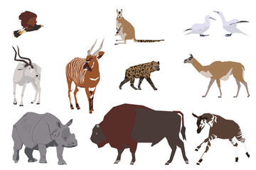 set of wild animals, collage style drawing
