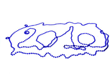 Inscription of 2010