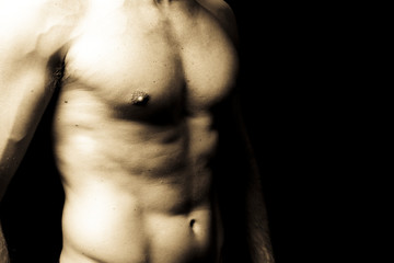 Fototapeta na wymiar muscular male torso on black background
