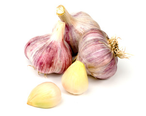 Garlic on a white background