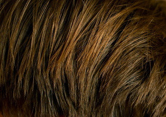 Hair texture