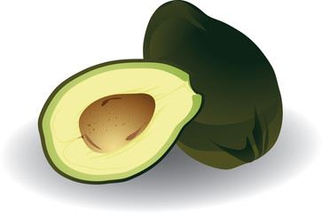 Avocado