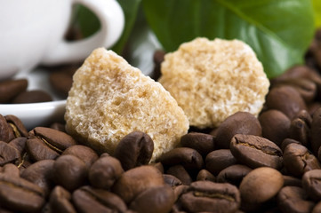 fresh coffee with coffee branch