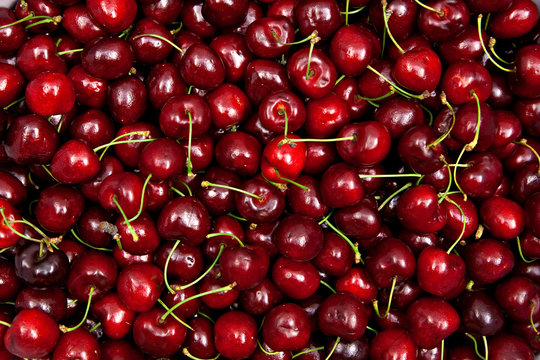 many red cherries