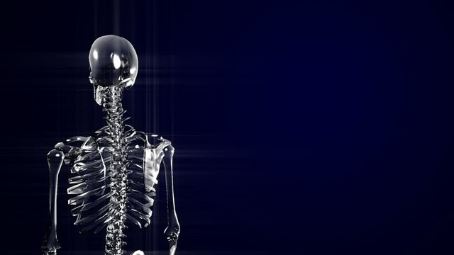 Skeleton - HT, loop, glas look