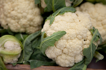 Fresh cauliflower