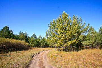 Fototapeta na wymiar Fall landscape in rural roads