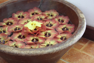 Bowl of flowers