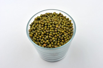 organic mung beans are good for salad