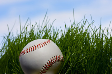 baseball over young grass background