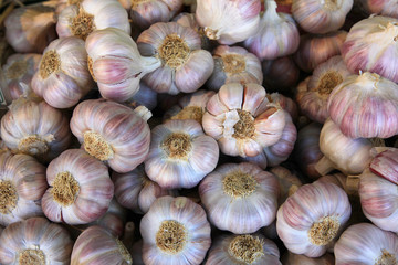 Food-Serie: Knoblauch